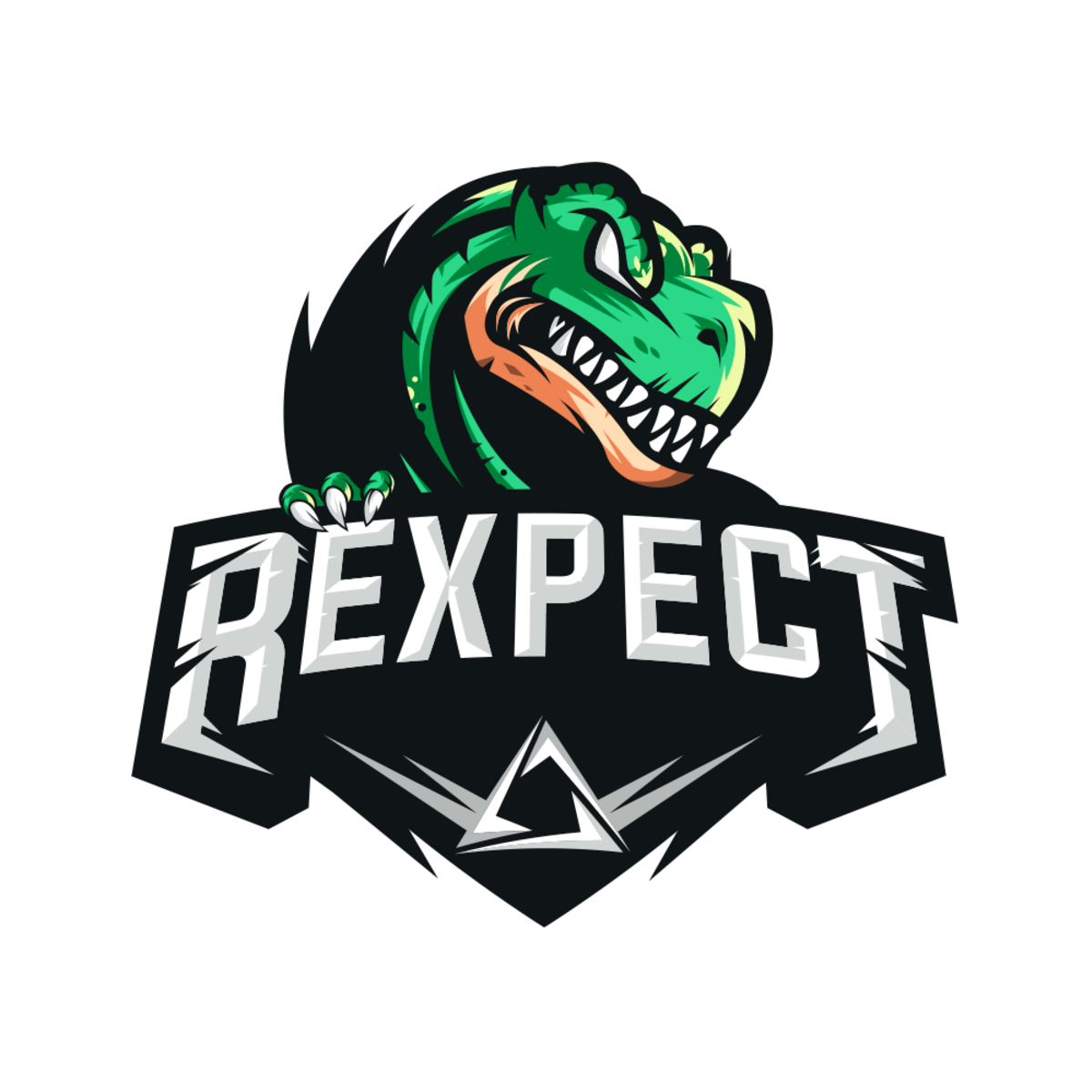 ReXpect Esports